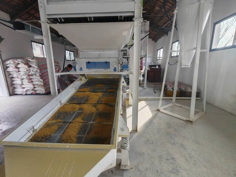 家具定制：如何选择适合你的理想家居解决方案